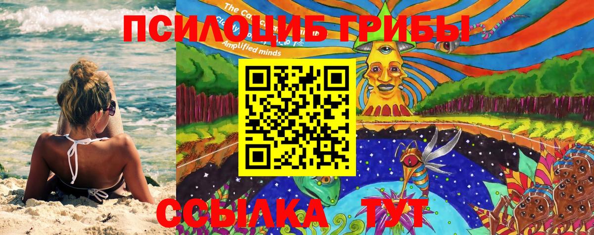 Галлюциногенные грибы мицелий Мценск