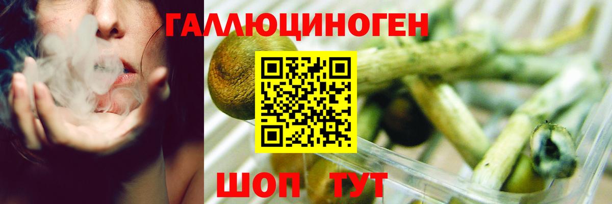Мценск  Псилоцибиновые грибы MAGIC MUSHROOMS  где можно купить   Вход с VPN 